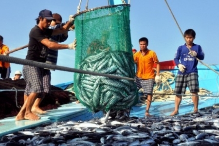 Cắt giảm, đơn giản hóa nhiều thủ tục hành chính ngành nông nghiệp