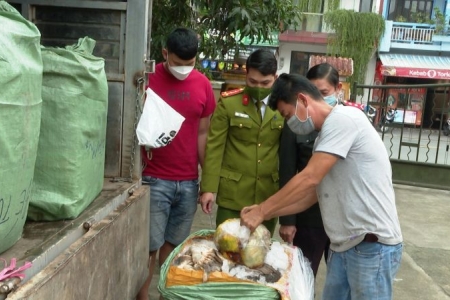 Bắt giữ một ô tô chở hơn một tấn nội tạng động vật không rõ nguồn gốc ở Thừa Thiên Huế