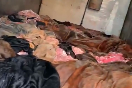 Đồng Nai: Phát hiện gần 1 tấn da, mỡ bò bốc mùi chuẩn bị đưa đi tiêu thụ