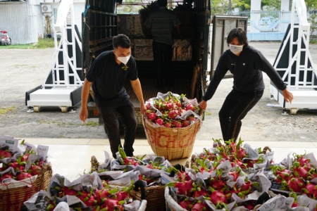 Hỗ trợ tiêu thụ nông sản nội địa để giảm áp lực cho xuất khẩu