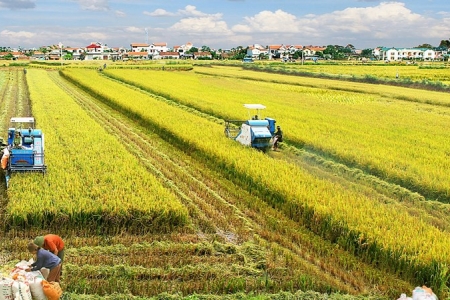 Ngành nông nghiệp Thủ đô đã đạt được nhiều kết quả tích cực trong năm 2021