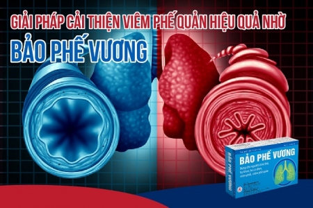 Giải pháp cải thiện viêm phế quản hiệu quả nhờ Bảo Phế Vương