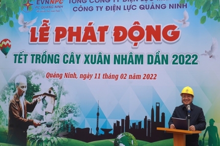 PC Quảng Ninh hưởng ứng Tết trồng cây Xuân Nhâm Dần năm 2022