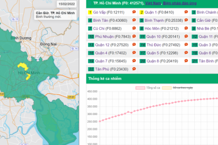 TP. Hồ Chí Minh có 275/312 phường xã đạt cấp 1 về cấp độ dịch Covid-19