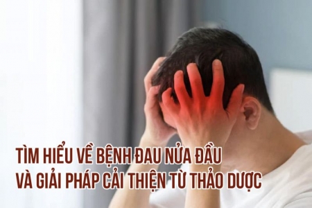 Tìm hiểu về bệnh đau nửa đầu và giải pháp cải thiện từ thảo dược