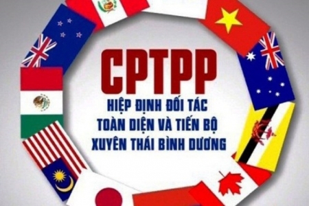 Doanh nghiệp Việt Nam chậm nắm bắt các ưu đãi trong CPTPP