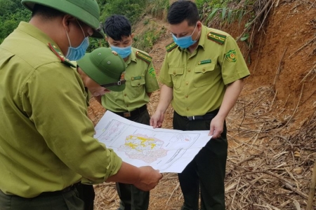 Ban Quản lý rừng ATK Định Hóa chú trọng quản lý, bảo vệ và phát triển rừng