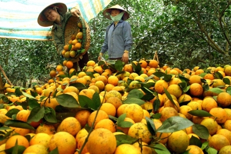 Huyện Đồng Văn tăng cường đưa các sản phẩm nông sản địa phương lên sàn thương mại điện tử 