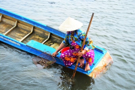 Cà Mau phát triển và nhân rộng các mô hình sản xuất có hiệu quả