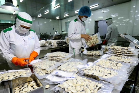 Việt Nam có khá nhiều yếu tố thuận lợi để phát triển các loài nhuyễn thể nuôi 