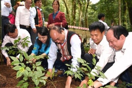 Lần đầu tiên Kon Tum tổ chức phiên chợ thương hiệu sâm Ngọc Linh