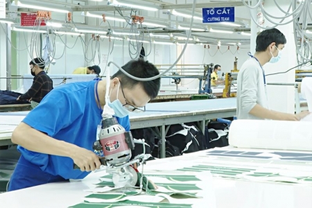 Chú trọng, bổ sung các quy định pháp luật về sở hữu trí tuệ: Nâng cao khả năng cạnh tranh và bảo vệ lợi ích của doanh nghiệp