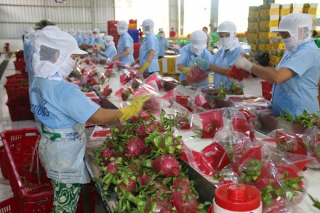 Xuất khẩu nông sản 4 tháng đạt gần 18 tỷ USD