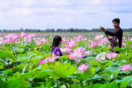 Đồng Tháp chuẩn bị điều kiện phục vụ du khách chu đáo, an toàn dịp Lễ hội Sen