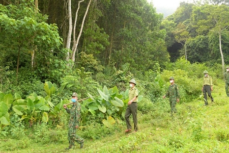 Bắc Giang ban hành Chỉ thị về việc tăng cường công tác quản lý bảo vệ rừng và đất lâm nghiệp 