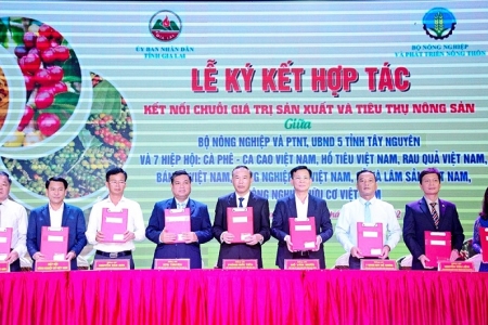 Kết nối chuỗi giá trị sản xuất và tiêu thụ nông sản vùng Tây Nguyên