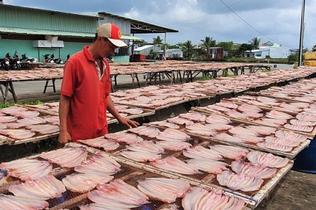 Cà Mau triển khai chương trình, chính sách hỗ trợ cho vay theo Nghị quyết số 11 của Chính phủ