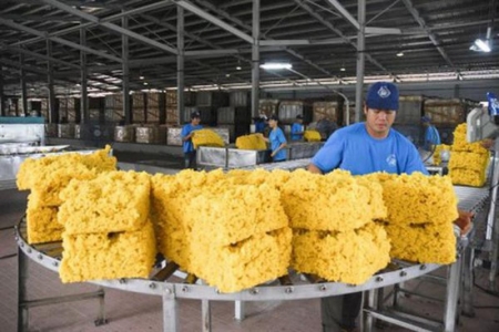Xuất khẩu cao su của Việt Nam trong tháng 05/2022 ước đạt 181 triệu USD