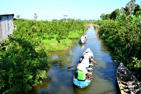 Kiên Giang tập trung phát triển du lịch nông nghiệp