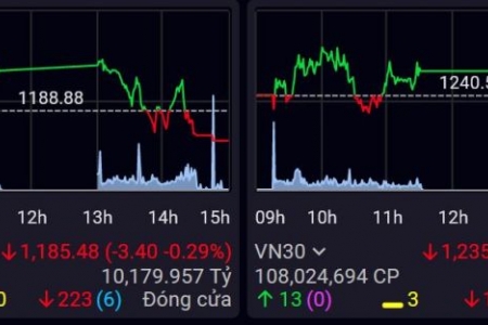 Thị trường chứng khoán tiếp tục giao dịch khá thận trọng