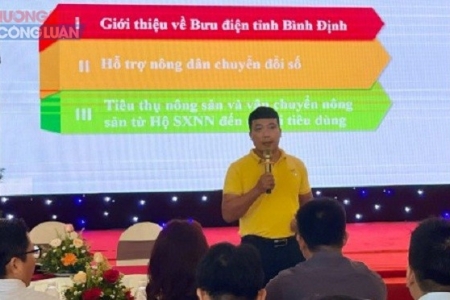 Bình Định kết nối thương mại điện tử giữa các doanh nghiệp miền Trung