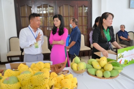 Thương hiệu “Xoài Cao Lãnh” sẽ đến với người tiêu dùng cả nước trong thời gian sớm nhất