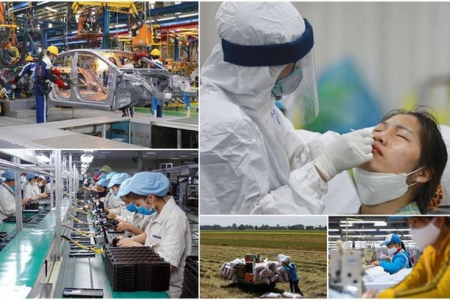 Ngân hàng Thế giới dự kiến, năm 2022 GDP của Việt Nam tăng trưởng 7,5%
