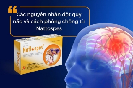 Các nguyên nhân đột quỵ não và cách phòng chống từ Nattospes