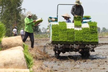 Đồng Tháp phấn đấu giảm tỷ lệ hộ nghèo đến năm 2025 còn dưới 3%