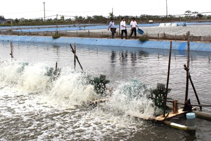 Bộ Thương mại Hoa Kỳ giữ nguyên mức thuế chống bán phá giá cá tra, basa từ Việt Nam