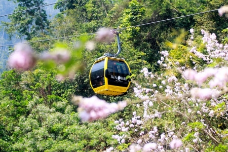 Cha đẻ của Cầu Hôn Phú Quốc hé lộ về hầm vang “có một không hai” sẽ làm ở Bà Nà Hills