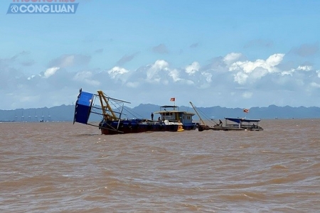 UBND TP. Hải Phòng thông tin về thực trạng hoạt động nuôi ngao của các hộ dân