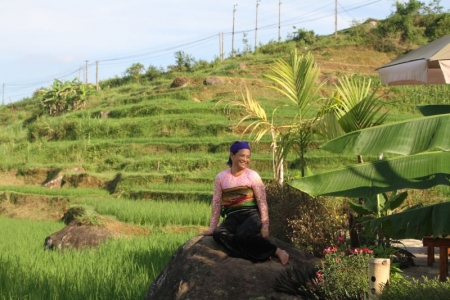 Đề án phát triển các mô hình cây trồng, vật nuôi, dược liệu, sản phẩm có lợi thế khu vực miền núi tỉnh Thanh Hóa