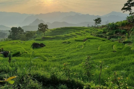 Thanh Hoá đầu tư nâng cấp hạ tầng tại khu du lịch Pù Luông