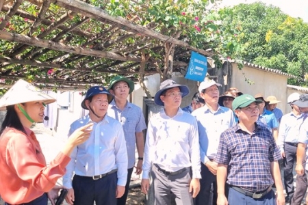 Khám phá, trải nghiệm làng chài cổ Gò Cỏ, Sa Huỳnh