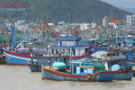 Bình Định tăng cường ngăn chặn tình trạng khai thác IUU