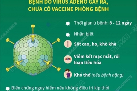 Đồng Tháp tăng cường phòng, chống bệnh do vi rút Adeno