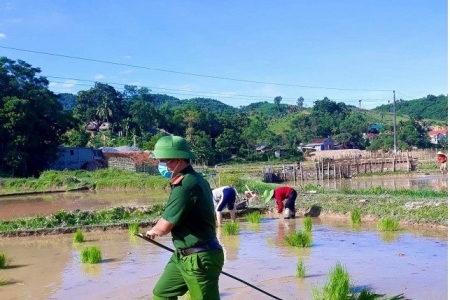 Thanh Hóa tặng Bằng khen cho 11 tập thể và cá nhân