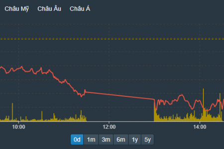 Chứng khoán ngày 11/10: 221 mã giảm kịch biên độ cuối ngày trên cả 3 sàn