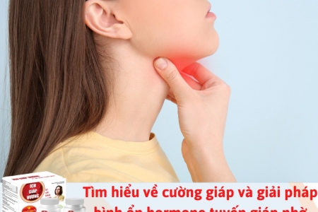 Cường giáp và giải pháp bình ổn hormone tuyến giáp nhờ Ích Giáp Vương