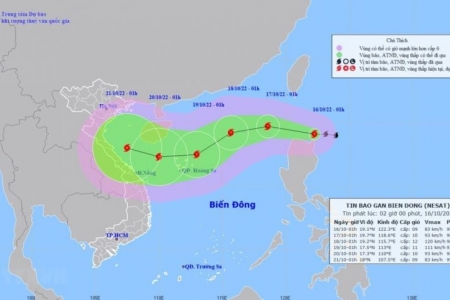 Triển khai nhiều biện pháp phòng, chống bão Nesat tại Quảng Nam