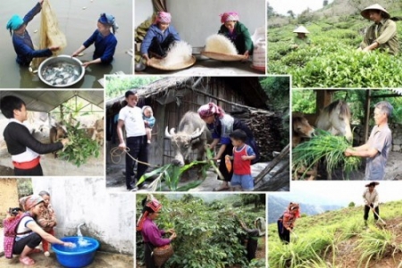 Giảm nghèo đạt được nhiều thành tựu nổi bật nhưng chưa thật sự bền vững