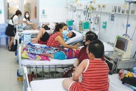 TP. HCM: Triển khai quy trình báo động đỏ đối với bệnh nhân Sốt xuất huyết Dengue