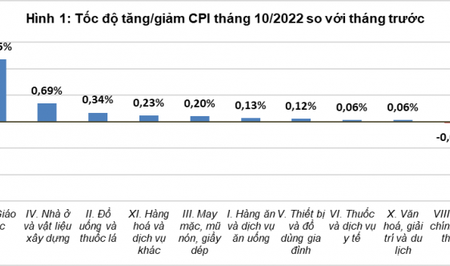 Tháng 10, có 09 nhóm hàng tăng giá so với tháng 9