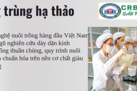 Đông trùng hạ thảo CRBPHARM - Thương hiệu Việt được nhiều người Việt tin dùng