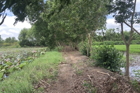 Công ty Kim Oanh kiến nghị tiếp tục điều tra vụ án tại dự án Minh Thành