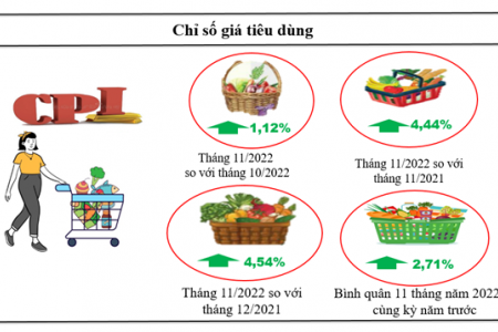 Kon Tum chỉ số tiêu dùng tháng 11 tăng 1,12%