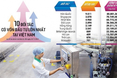 Việt Nam có thể tham gia sâu hơn chuỗi giá trị toàn cầu từ FDI