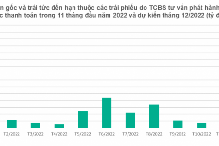 Lô trái phiếu 10.000 tỷ đồng tư vấn phát hành qua TCBS đã hoàn tất thanh toán lãi và gốc trong 2 tháng cuối năm 2022