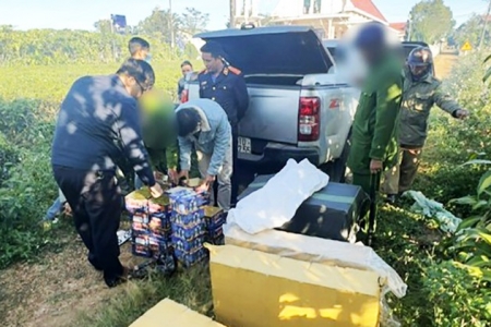 Bắt giữ 02 đối tượng chở gần 700kg pháo nổ từ biên giới về Lâm Đồng